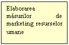 Text Box: Elaborarea masurilor de marketing resurselor umane